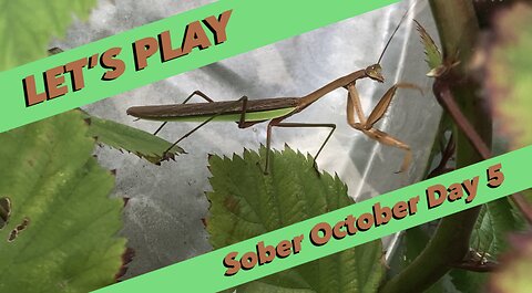 LET’S PLAY: Sober October Day 5