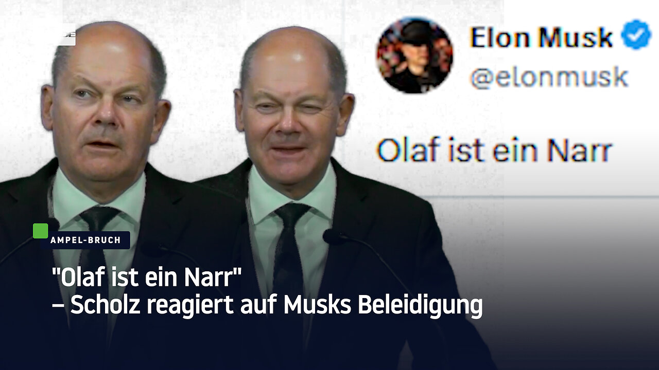 "Olaf ist ein Narr" – Scholz reagiert auf Musks Beleidigung