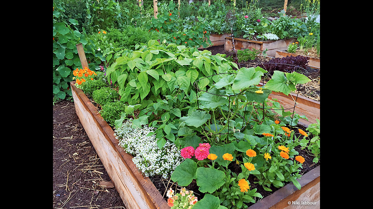 Growing Food in Small Urban Spaces