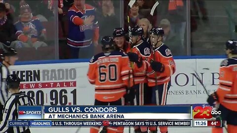 Gulls fly past the Condors