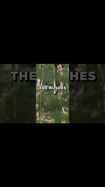 Listen to full meditations at Women's meditation network channel #meditation #sleep #shorts