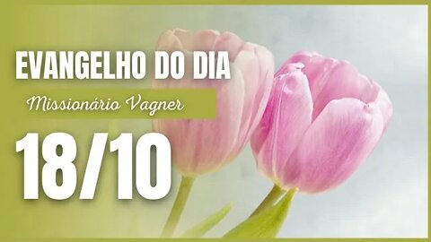 MANHÃ DE LUZ EVANGELHO DO DIA HOJE 18 OUT 2022