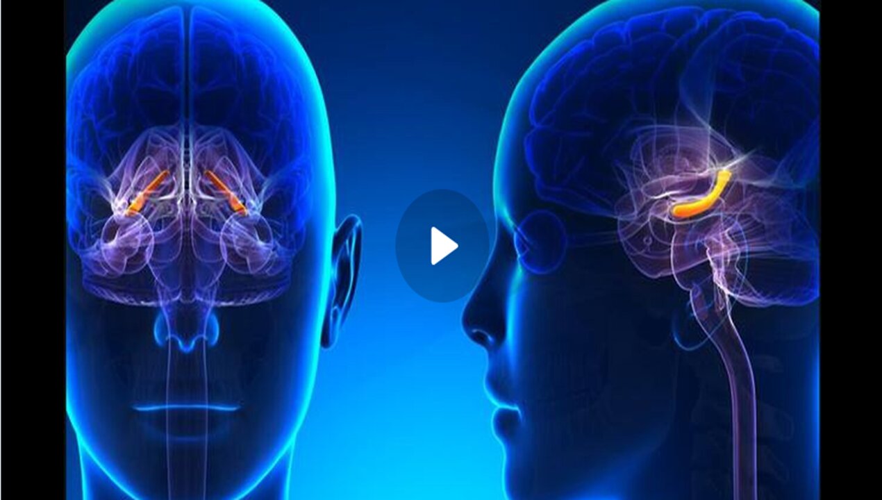 How the Vaxx Shrinks the Hippocampus, Switching off Cognitive Functions: Naomi Wolf & Mike Nehls