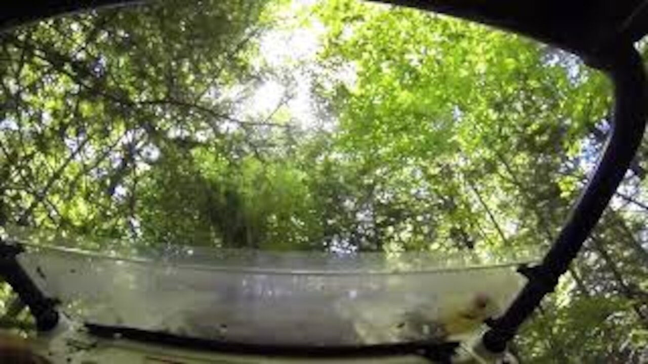 Tree Service and getting stuck! Shenanigans EP1