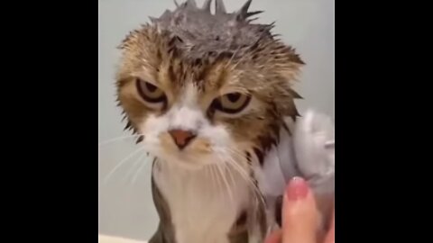 I don't like bath