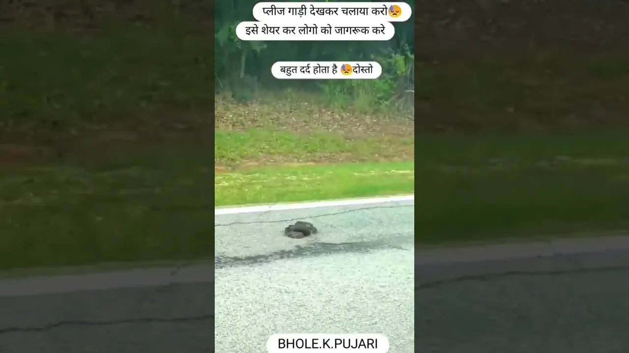 ऐसे दर्शन किस्मत वालो को नसीब होता है चैनल को subscribe 🔔 कर ले 🙏🙏 #shorts(3)