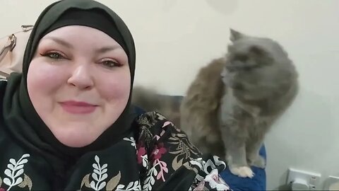 Julia The Cat Being Annoyed With Foodie Beauty Because Her Heart Belongs To Salah