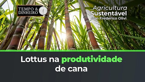 Lottus BioSoluções na recuperação e produtividade de cana