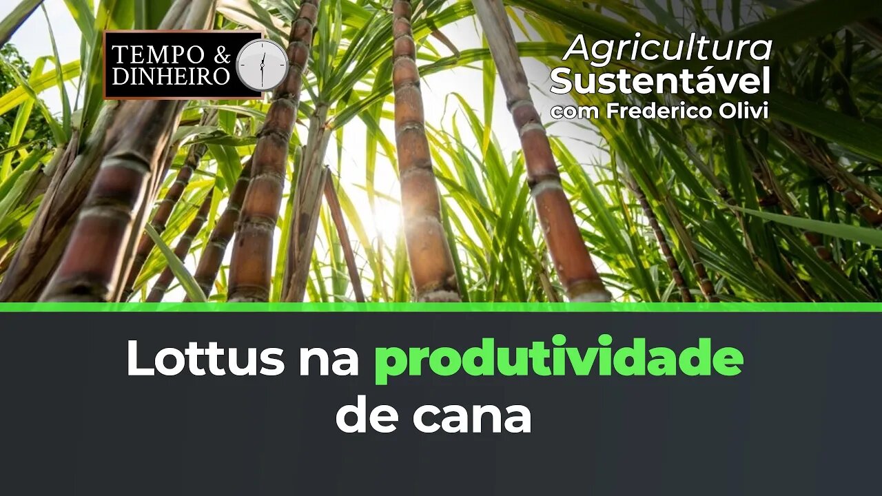 Lottus BioSoluções na recuperação e produtividade de cana