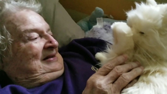 Woman’s Reaction To Being Given A Robotic Cat Is Sure To Melt Your Heart …