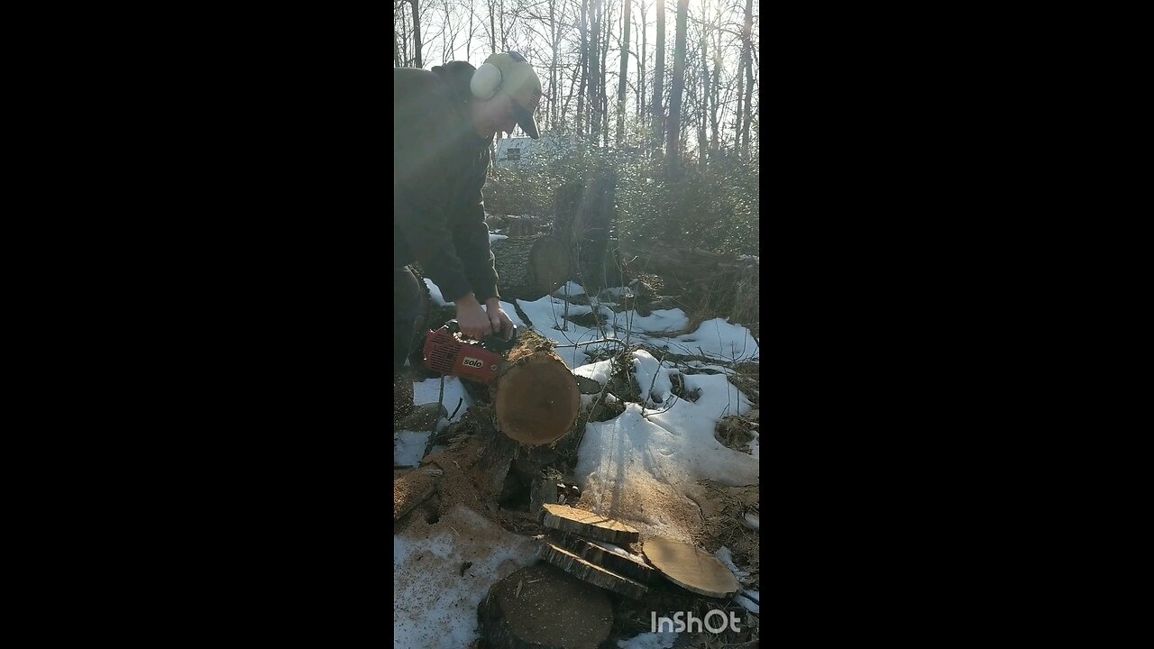 Rare Solo 633 top handle saw in action