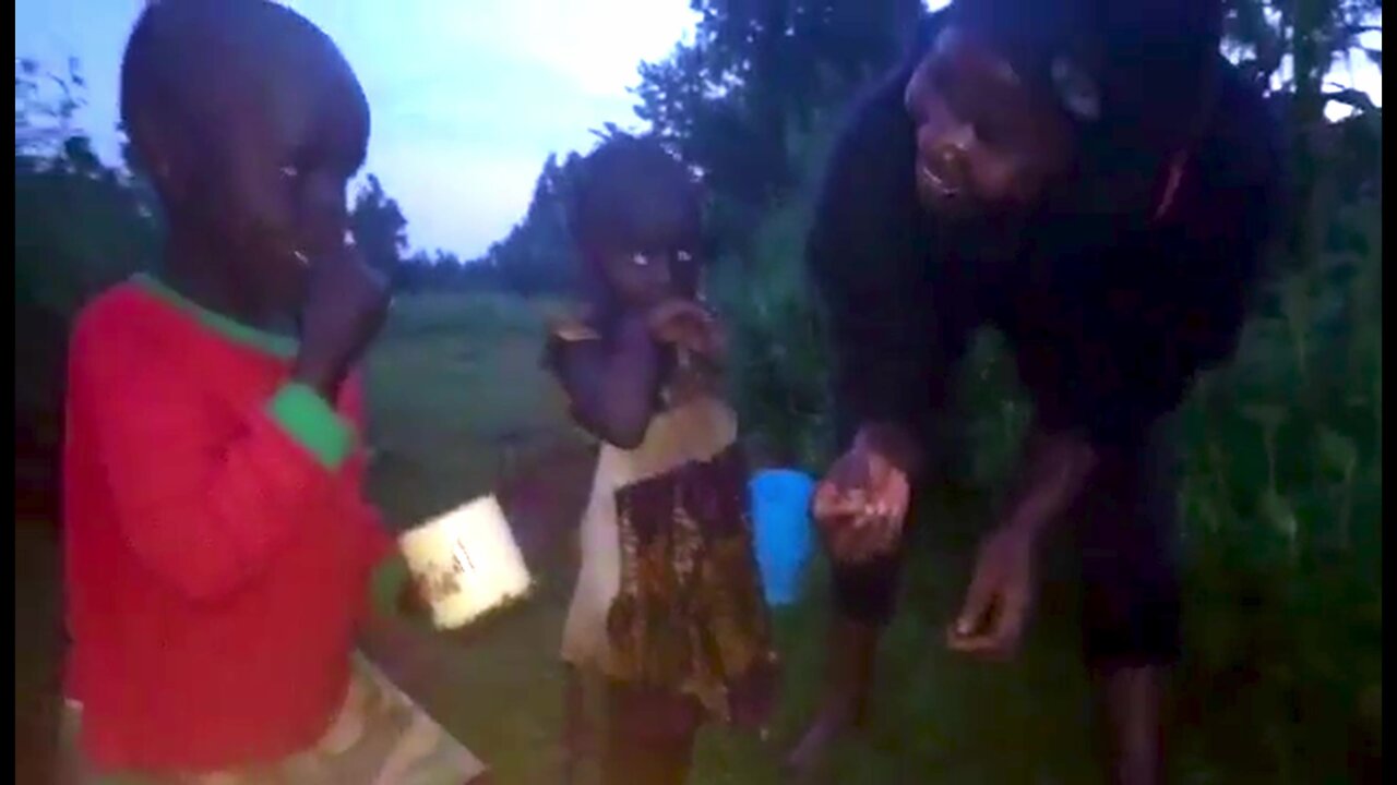 Swarming termites are a welcome delicacy in Kenya, Africa