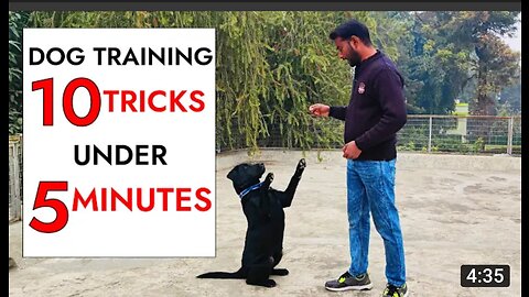 HOW TO DOG TRAINING DOG COMEDY😆😆 VIDEO &DOG TRAINING VIDEO