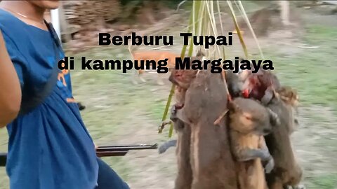 Berburu Tupai | keseruan Anak-Anak di Kampung MJY