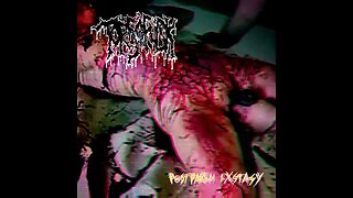 Torsofuck - Postpartum Exstasy (Full Album)