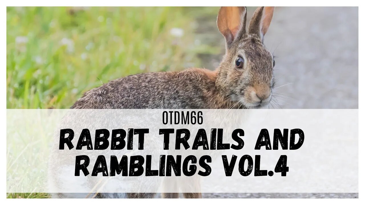 OTDM66 Rabbit Trails and Ramblings Vol. 4