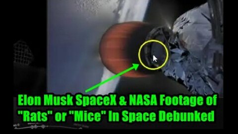 Elon Musk SpaceX & NASA Footage of "Rats" or "Mice" In Space Debunked