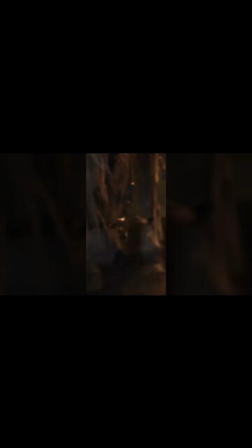 Custombility Make Elden Ring Next Gen #eldenring