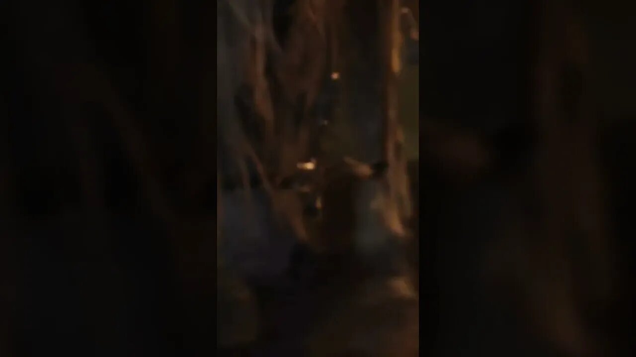 Custombility Make Elden Ring Next Gen #eldenring