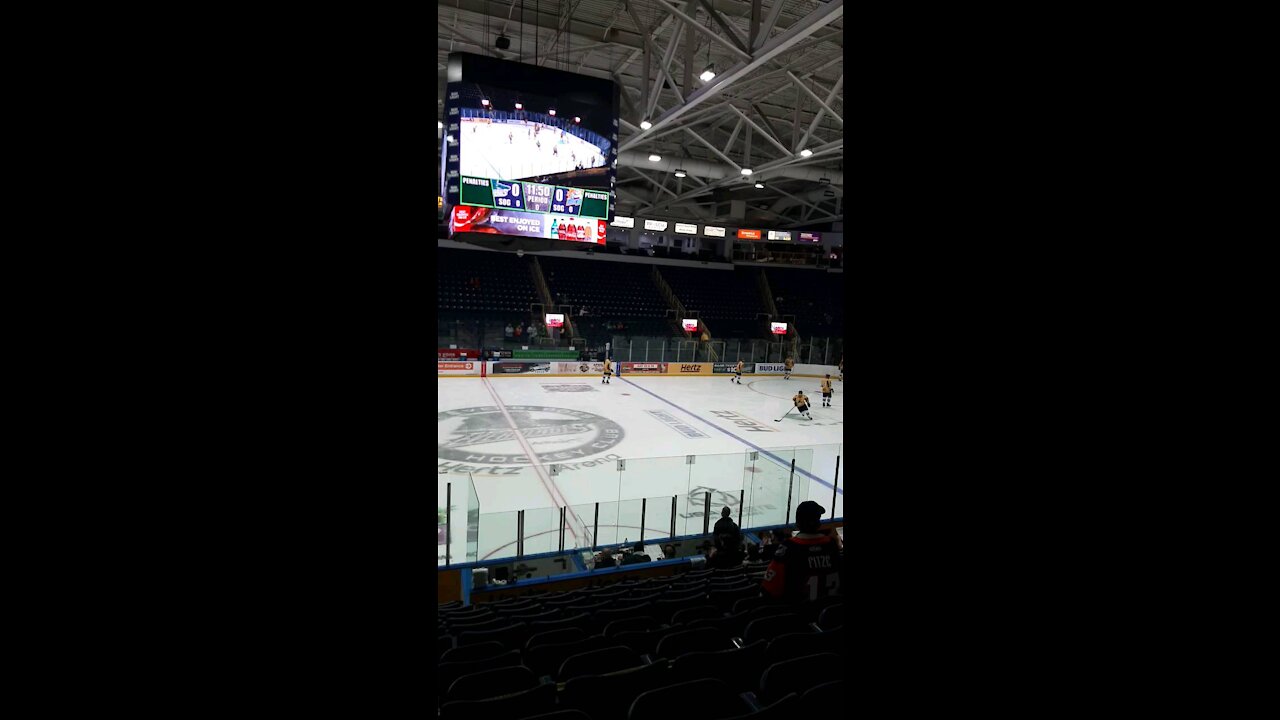 Florida Everblades