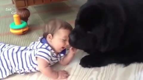 Dog Loves Baby When the First Time They Met Compilation NEW 2023 Try Not to Laugh