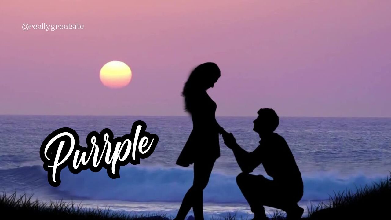 "Purrple"_Lo-Fi_Music_ #lofi