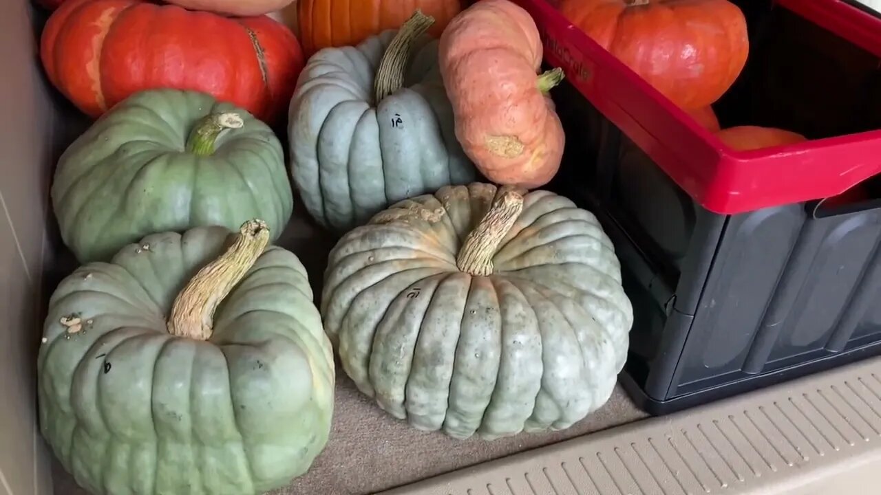 Decorating the front porch for autumn season