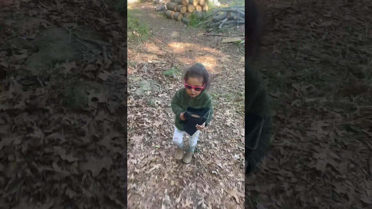 Our little Farmer👩‍🌾 #farmlife #farmanimals #homestead #toddlers #kunekune #pigs #reels #fy #fyp
