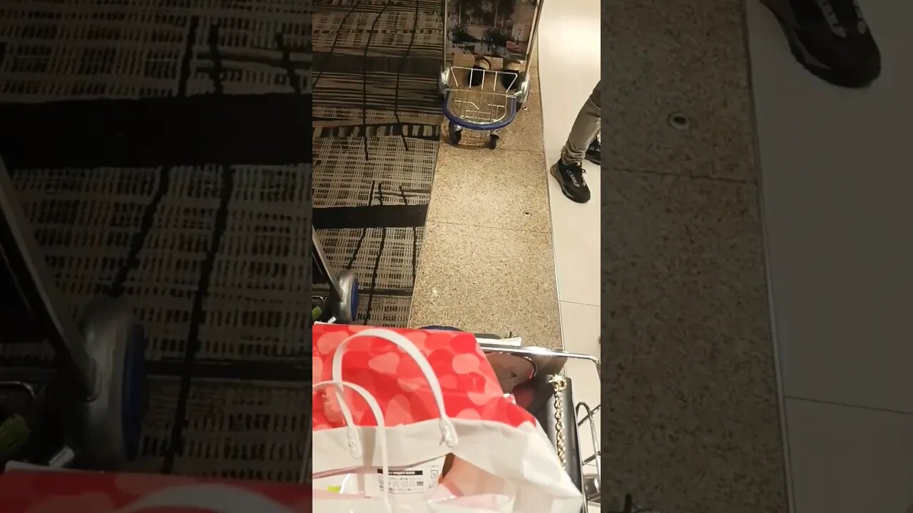 #etsukojunio #etsukofans #fransiscaofficial #teamfransisca #沉连清 #fransisca #fransiscametaworld