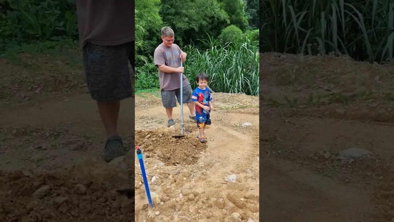 Getting Some Help on the New Farm!