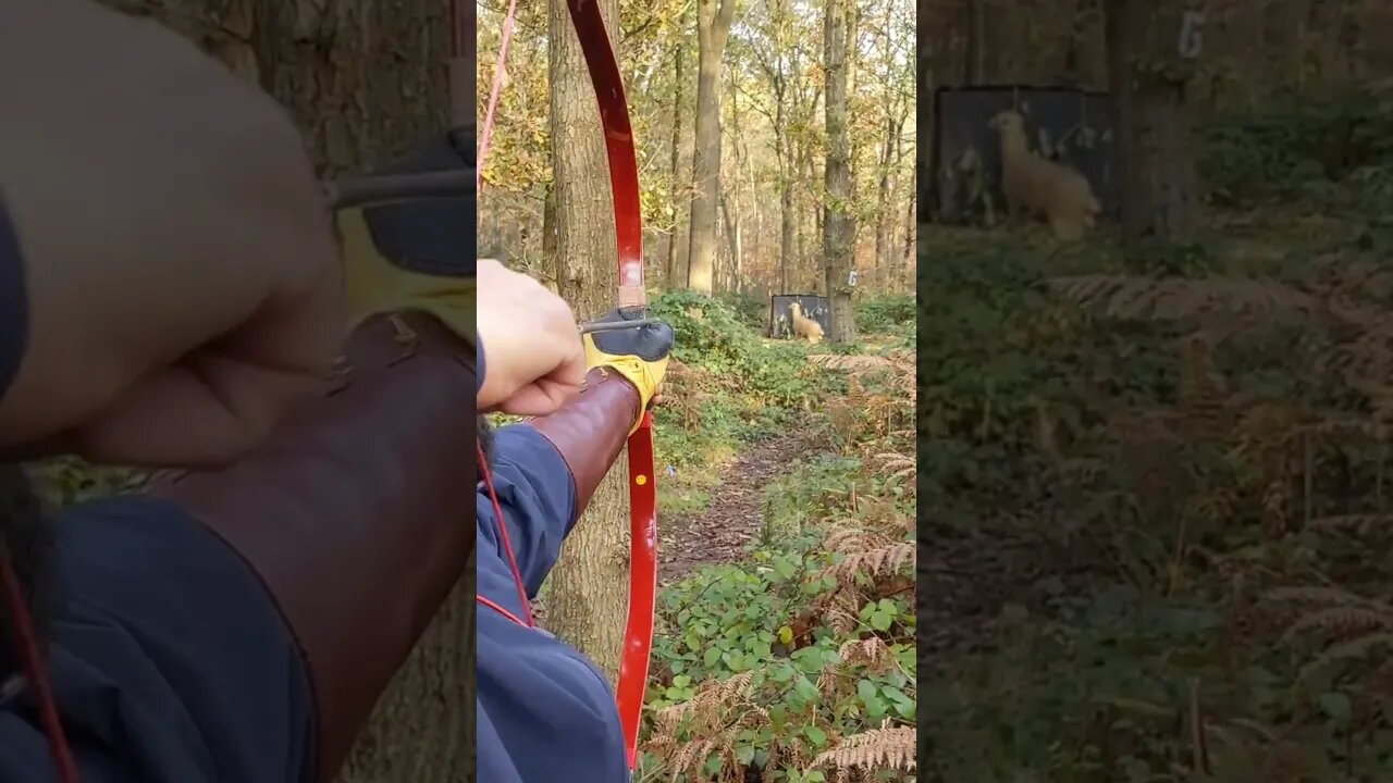 55LBS AT 31” KOREAN BOW 3D FIELD ARCHERY