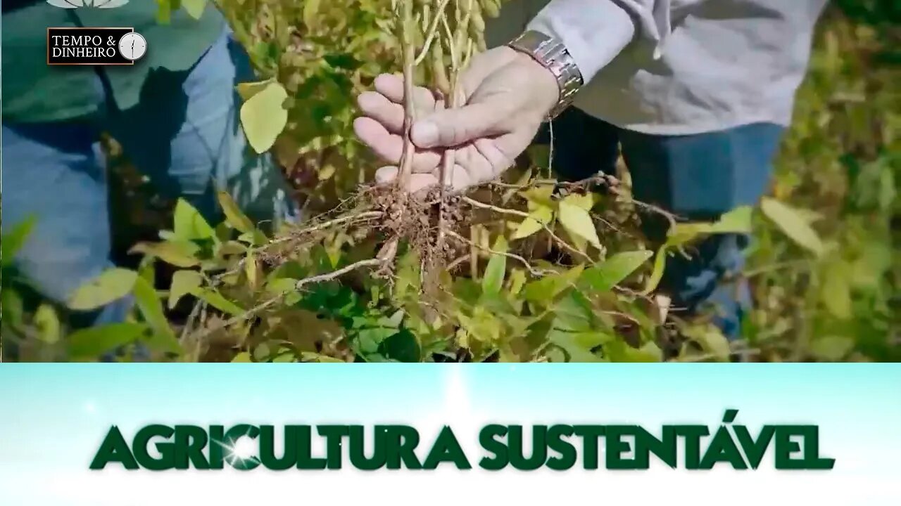 Agricultura Sustentável - com Frederico Olivi