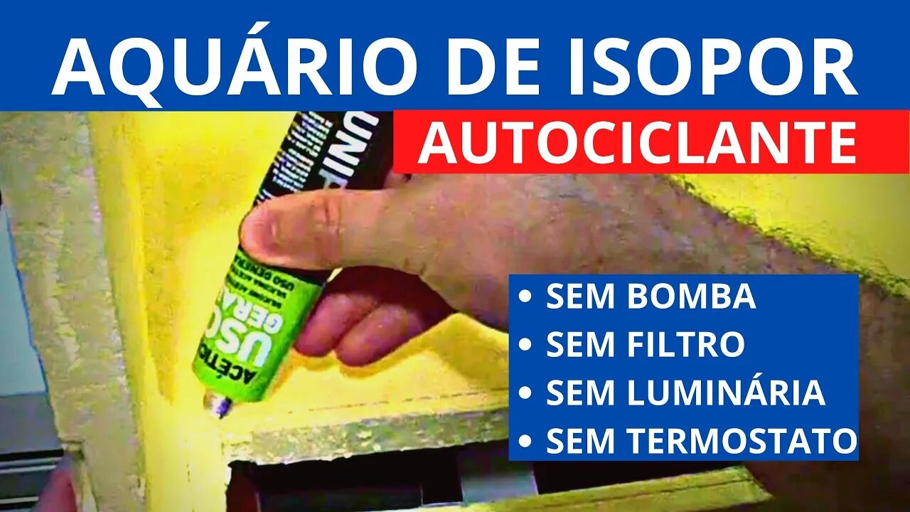 🔴 Aquário AUTOCICLANTE de ISOPOR DIY - Sem Filtro, Sem Termostato, Sem Luminária ( Parte1 )