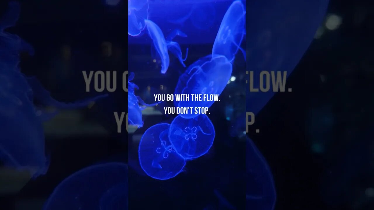 WHEN YOU...