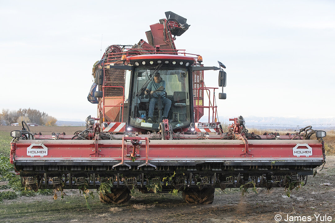 Palesk and Madden Farms - Sugar Beet Harvest 2021