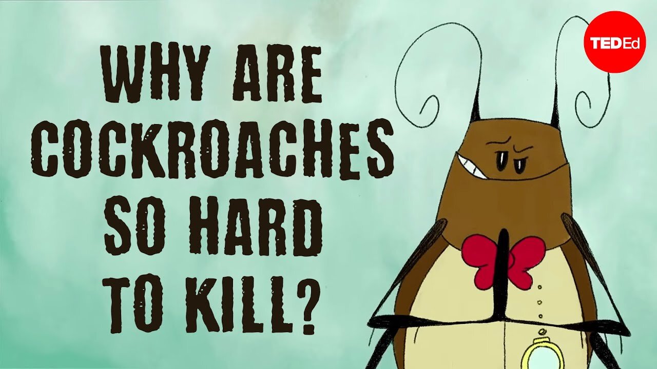 Why are Cockroaches so heard to kill?