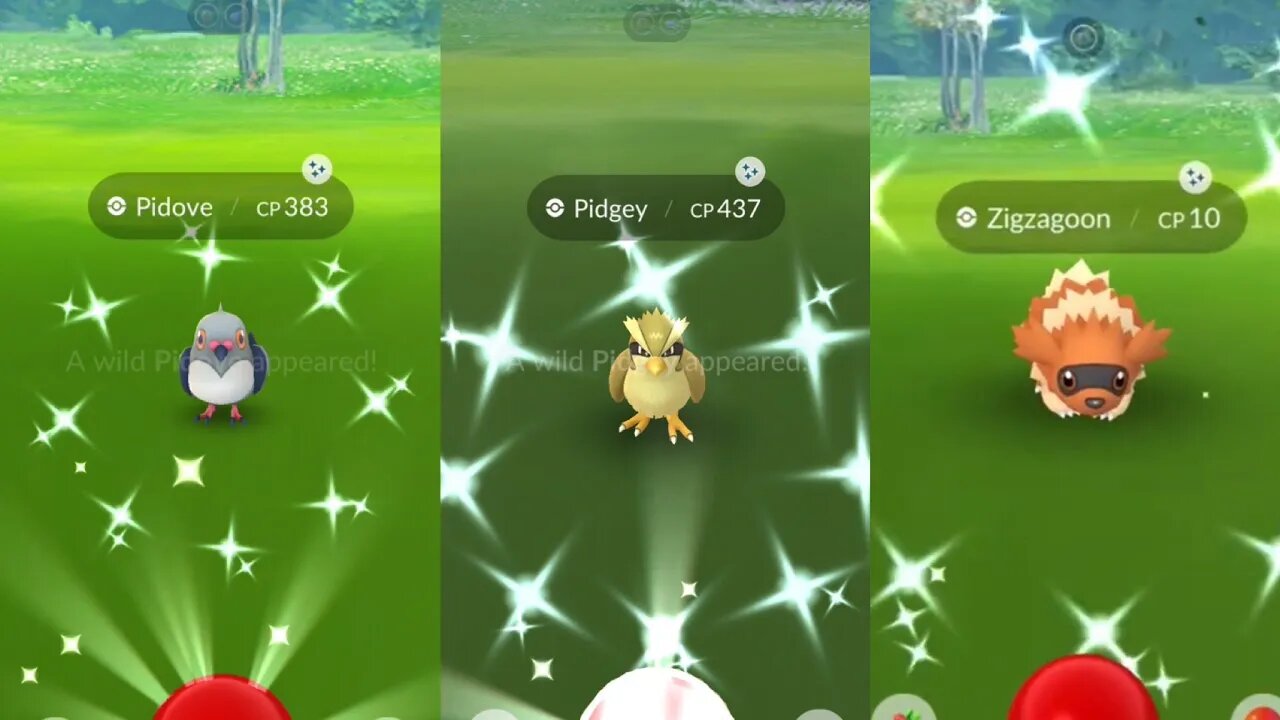 Shiny Hunting