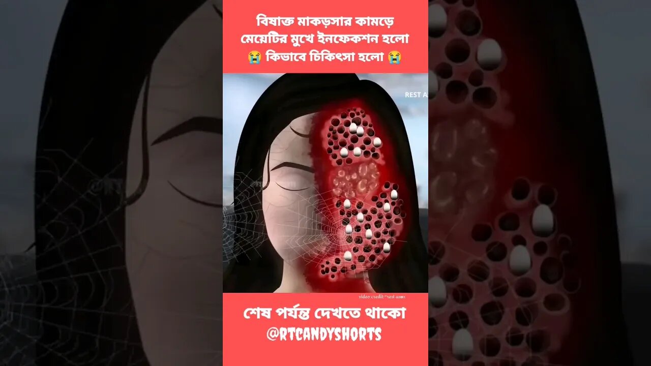 đąāĻŽāĻžāĻā§āϏāĻžāϰ āĻāĻžāĻŽā§ā§ āĻ āĻāĻŋ āĻšāϞā§đąđą #shorts #youtubeshorts #cartoon bhuter cartoon