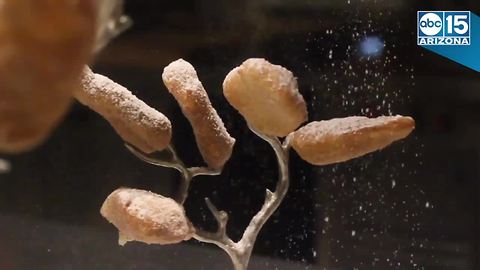 You really should try the "Beignet Tree" dessert at Steak 44