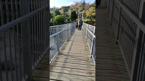 Bridge across Karangahape Gorge