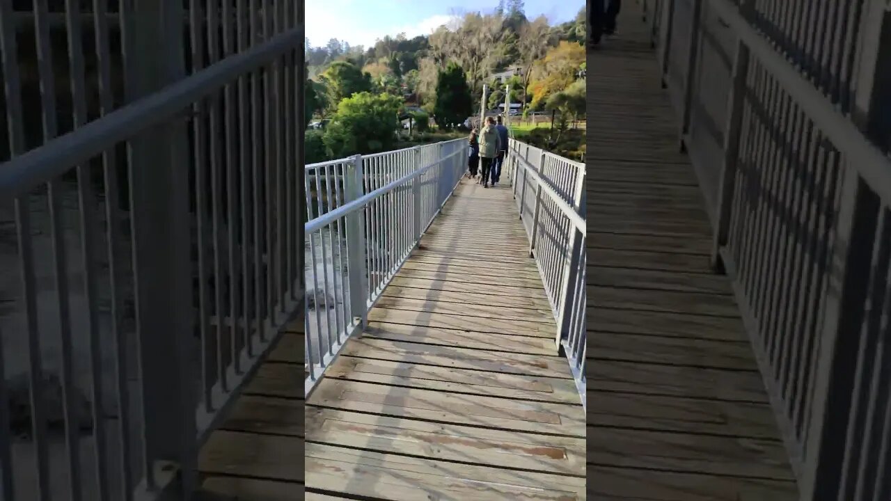 Bridge across Karangahape Gorge