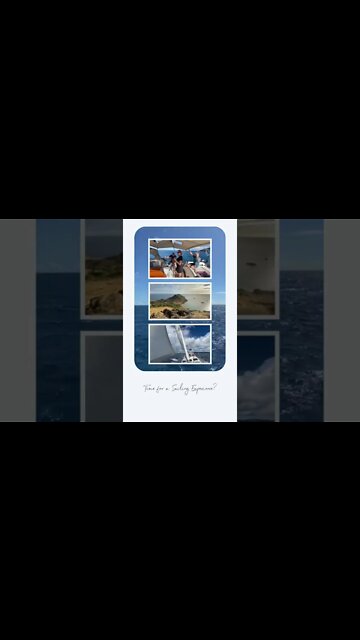 Sailing Cruiser Experiences - book now! #shorts