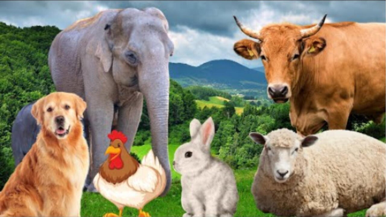 FUNNIEST Baby Animals 🤣 😂 | Best Cats, Dogs & Farm Animals