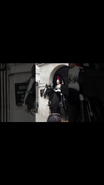 The kings gourd shouts get off the reins at husband wife #horseguardsparade
