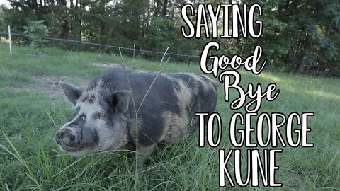 Saying Good Bye to George Kune/ Why we have someone else do the processing/ Community