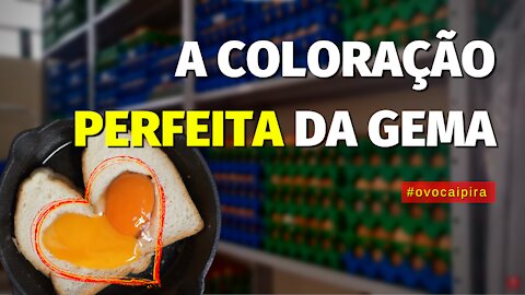 💻💡💳Como usar o TIKTOK e Como GANHAR DINHEIRO no tiktok