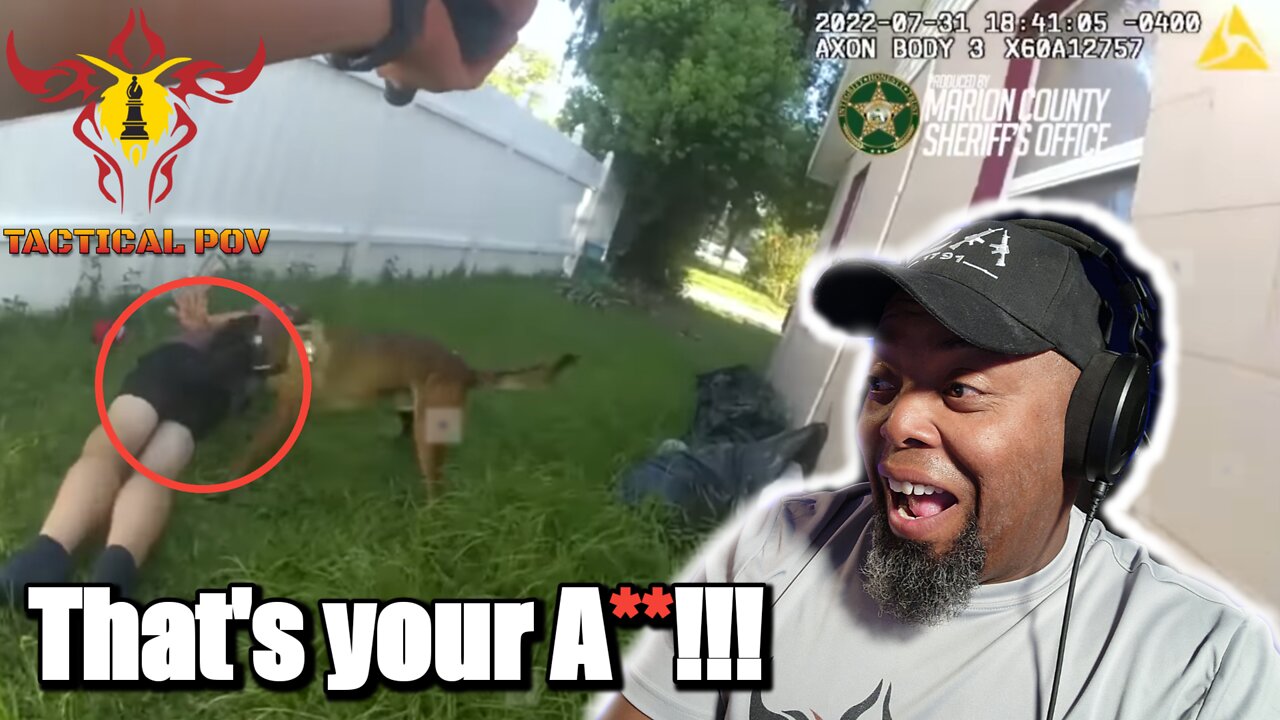 K9 Catches Suspect Fleeing from a Stolen Vehicle! | My Reaction