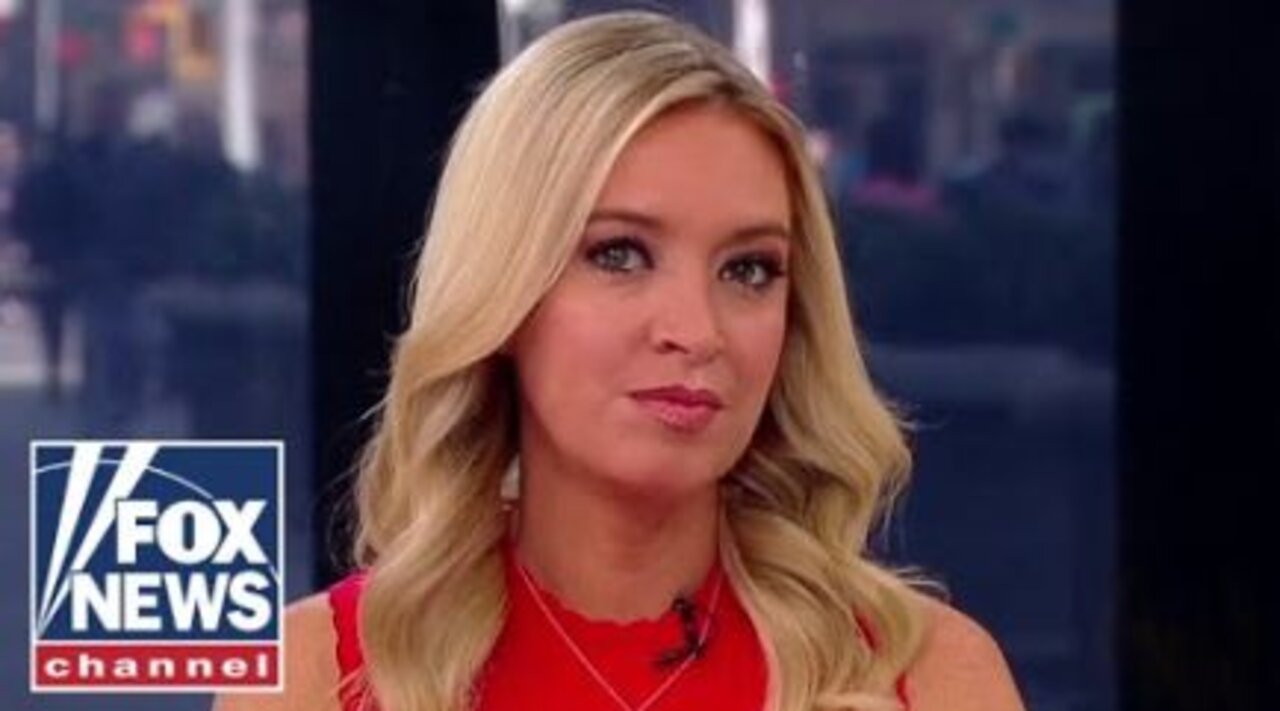 McEnany: Liberal media never lets a crisis go to waste