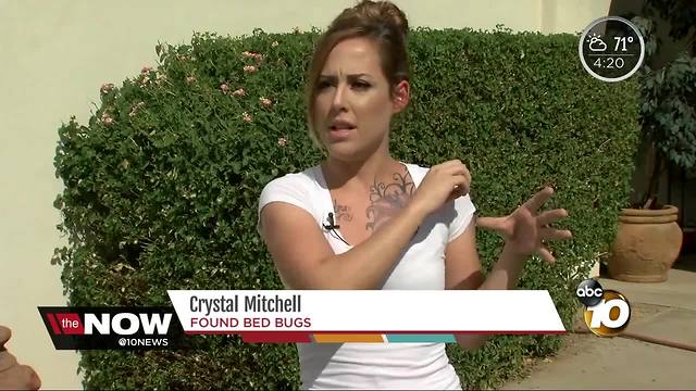 Woman claims she was attacked by bed bugs at a movie theater