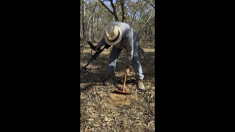 Barry Has Some Treasure Metal Detecting